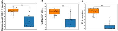 Identification of the gut microbiota affecting Salmonella pullorum and their relationship with reproductive performance in hens